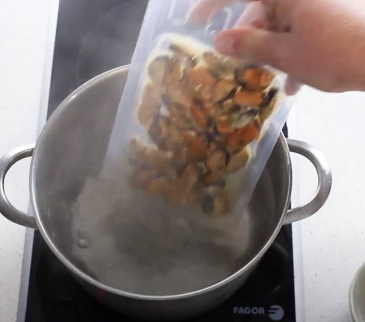 PASO 1 VIDEO MEJILLONES